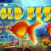 Apa Itu Slot Memancing Cluster-Pay?